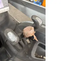 Still EFG RX20-14C Triplex Drive-In — Foto 9